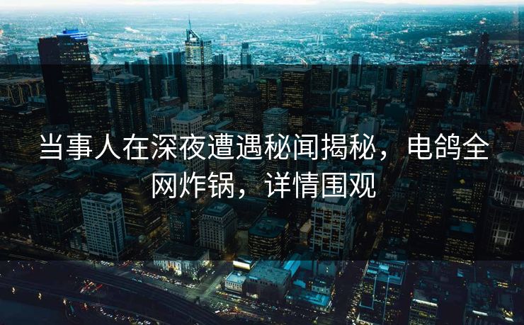 当事人在深夜遭遇秘闻揭秘，电鸽全网炸锅，详情围观