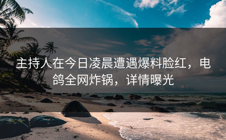 主持人在今日凌晨遭遇爆料脸红，电鸽全网炸锅，详情曝光